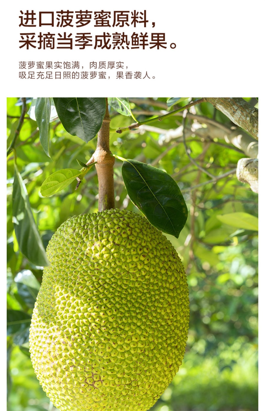 【中國直郵】來伊份 菠蘿蜜脆果蔬脆水果乾辦公室菠蘿蜜小吃零食16g