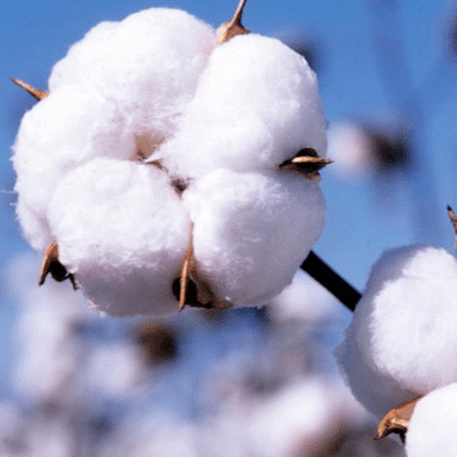 J.F.AMIEE 纯棉埃及棉800根高档长绒棉 正反两色被套三件套 被套枕套 玫瑰红/卡其 Queen/King