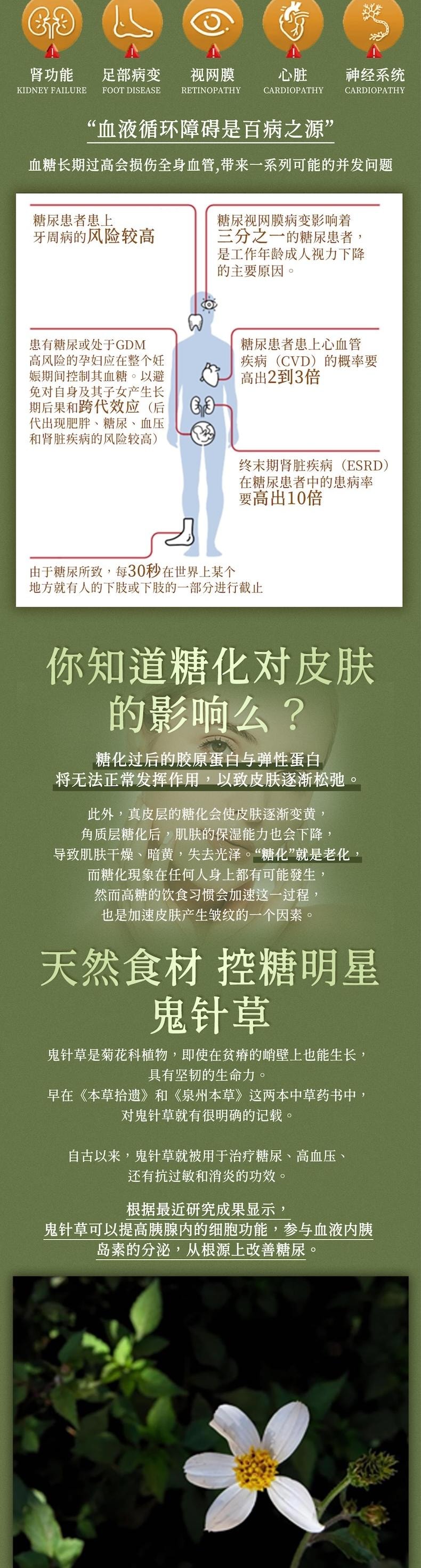 【日本產】UMEKEN 鬼针草片 2个月量 【日系抗糖丸✨7种草本呵护 稳糖轻养不焦虑!】【30+女生逆龄保养的秘密!】【对抗糖化焦虑🌿身体肌肤都轻盈】