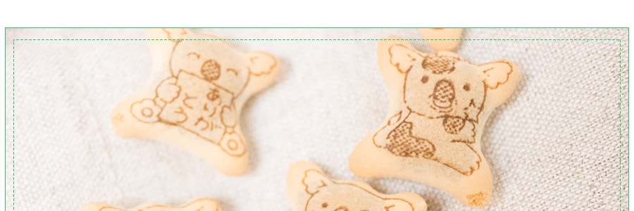 日本LOTTE樂天 無尾熊系列餅乾 巧克力口味 10包入 195g 超大家庭裝