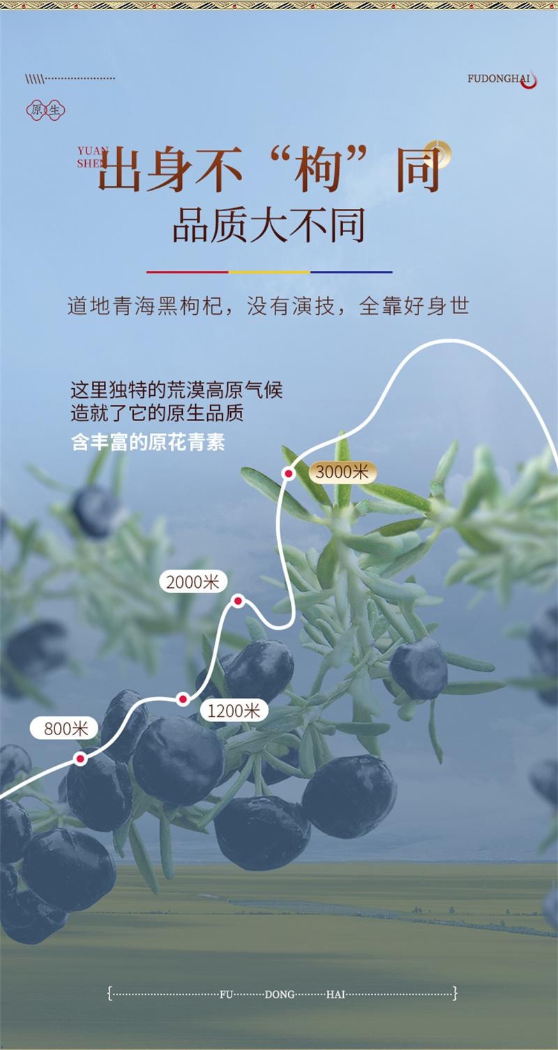 【中國直郵】 福東海 寧夏早紅晚黑枸杞原漿早C晚A杞汁 300ml