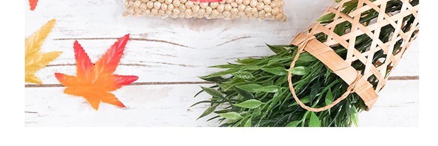 家鄉風味 有機黃豆 454g USDA認證