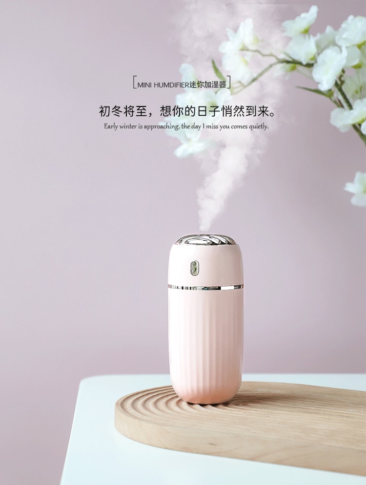 中國直效郵件 Coopever 加濕器噴霧器300ml 桌上型家用車用空氣加濕器 USB 白色