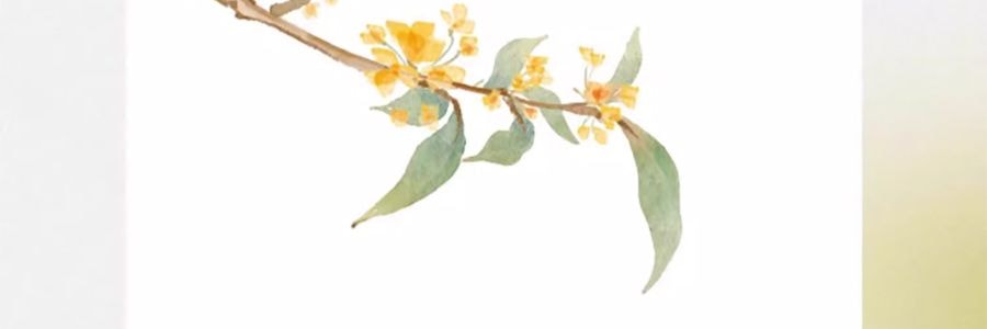 宋朝 月中桂无火香薰香氛 桂花香空气清新香膏精油香 月中桂150ml