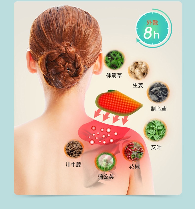 【中国直邮】云南本草 艾草颈椎贴富贵包艾叶发热艾灸贴关节贴腰椎贴肩颈膝盖贴 颈椎贴(12贴/盒)