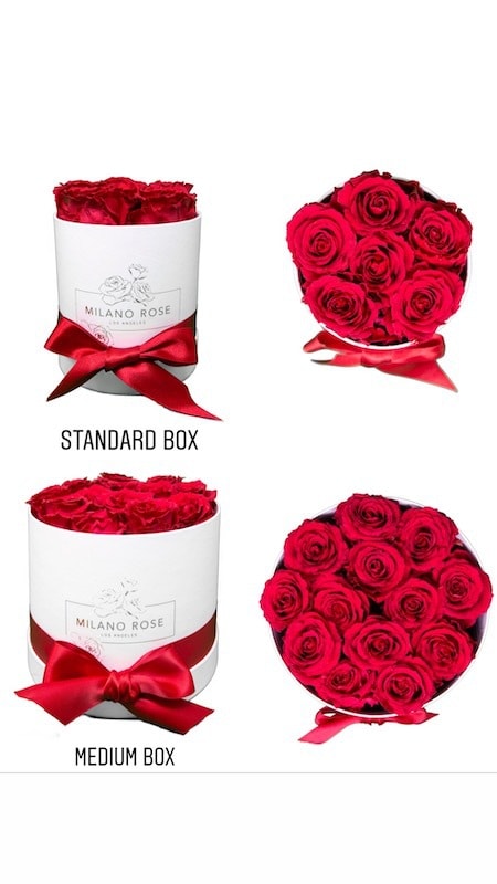 MILANO ROSE 进口永生花礼盒 经典红玫瑰求婚表白送女友七夕情人节礼物 Medium