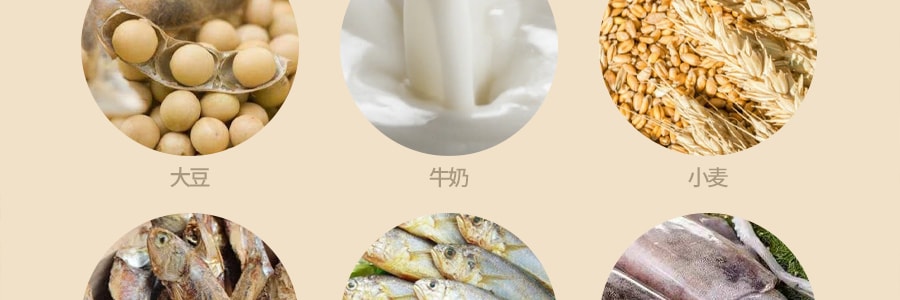 韩国OTTOGI不倒翁 营养美味鲍鱼粥 2分钟即食 1人份 285g