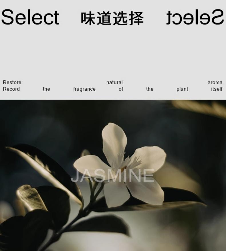[Jasmine] Log fragrance hanging, diffused fragrance aromatherapy stone pendant, wardrobe aromatherapy car fragrance hanging, free aromatherapy liquid