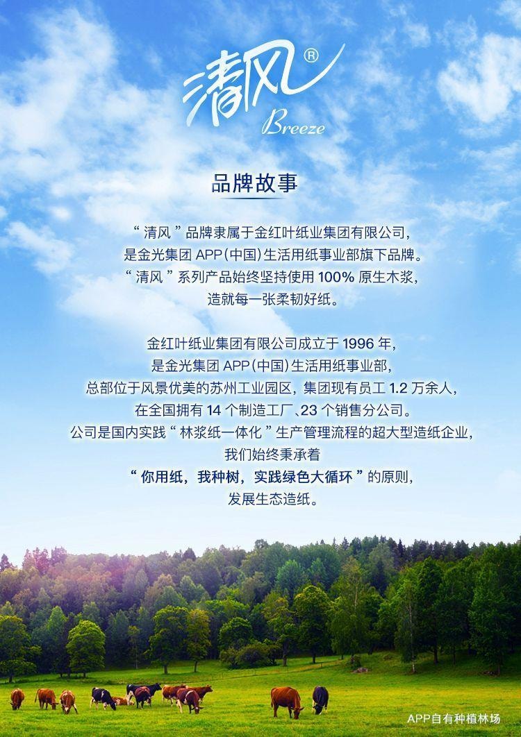 清风 【反季折扣】 凉感湿巾 冰感降温 运动湿纸巾 杀菌 清爽冰爽清凉 便携 冷感 军训 薄荷- 5件装 1包