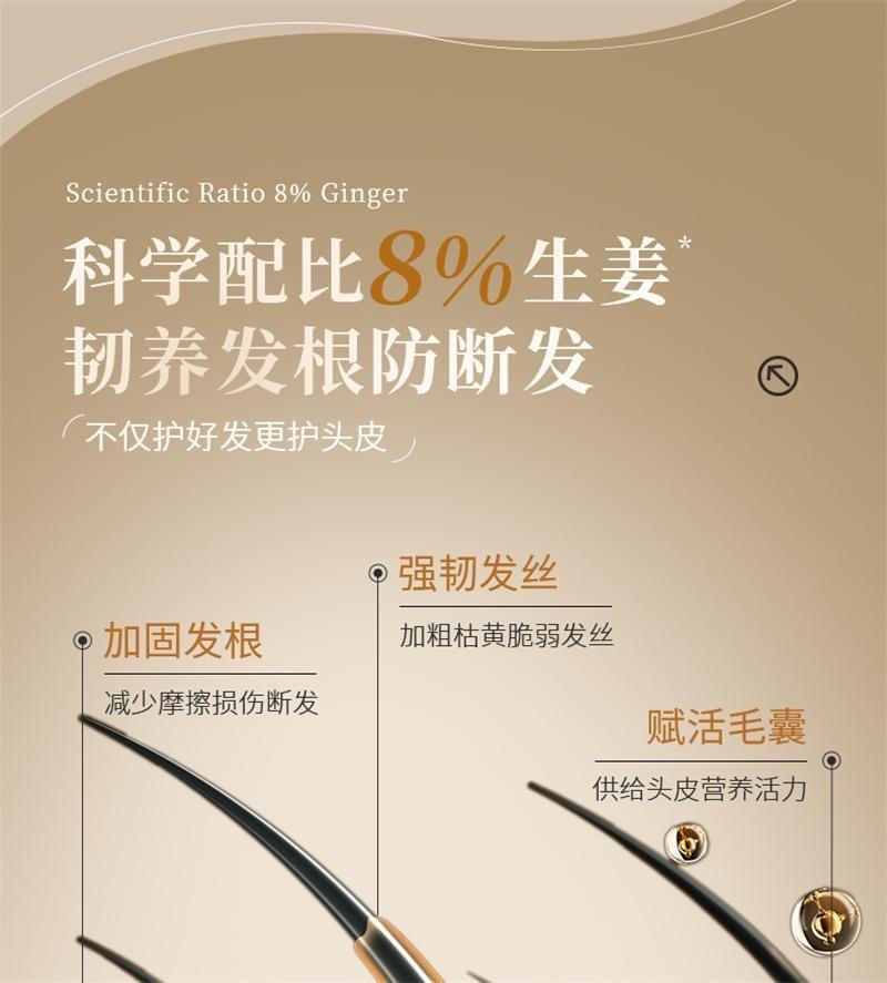 【中國直郵】 EHD 生薑洗髮精 蓬鬆柔順修護防斷護髮清爽男女 500ml/瓶