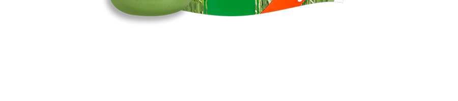 日本一日綠菜 大麥若葉青汁 加入寒天 30杯份