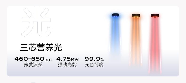 博拉利 英国 微电流按摩梳 多功能养护彩光护理 暮光紫色 1件