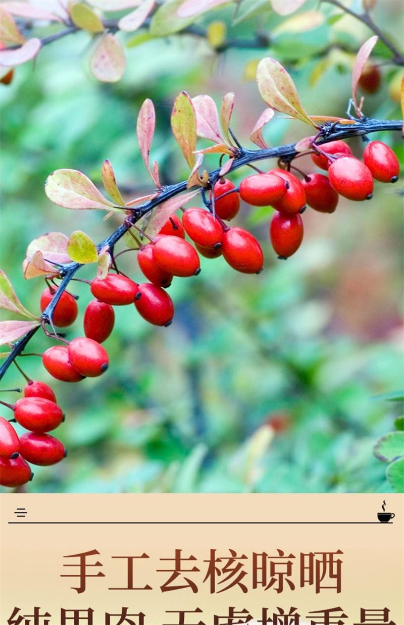 【中国直邮】 岷农人 山茱萸 野生山茱萸肉正品山萸肉中药材特级 250g/瓶