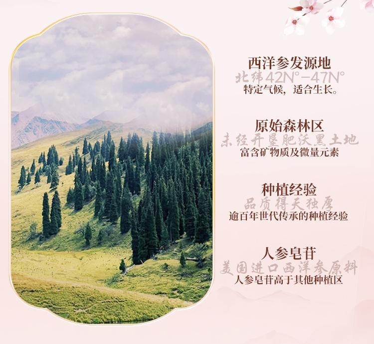 Western Ginseng And Jade Spirit Ointment 120g Nourishing Energy Promoting Qi Rosy And Suitable For Cold Hands And Fee