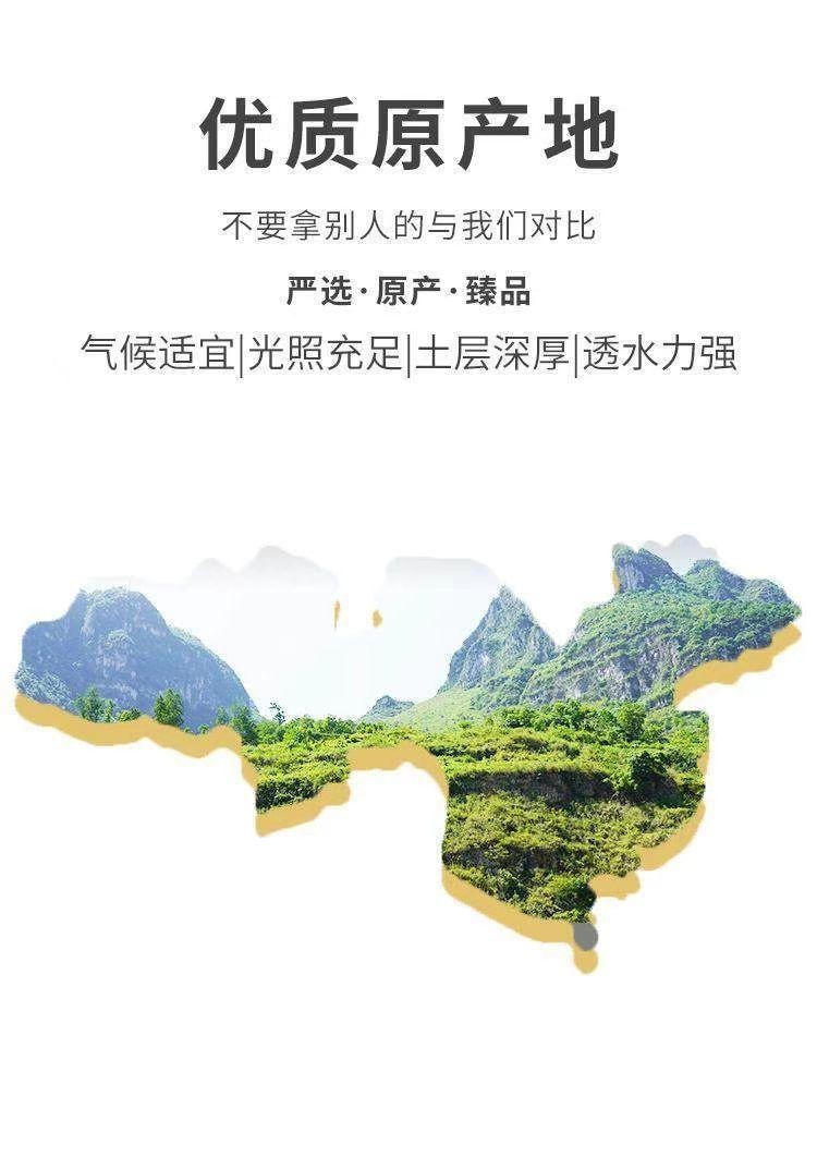  泷御堂 洛神花茶 玫瑰茄 植物界的红宝石 朵大红润 汤色娇艳 25g