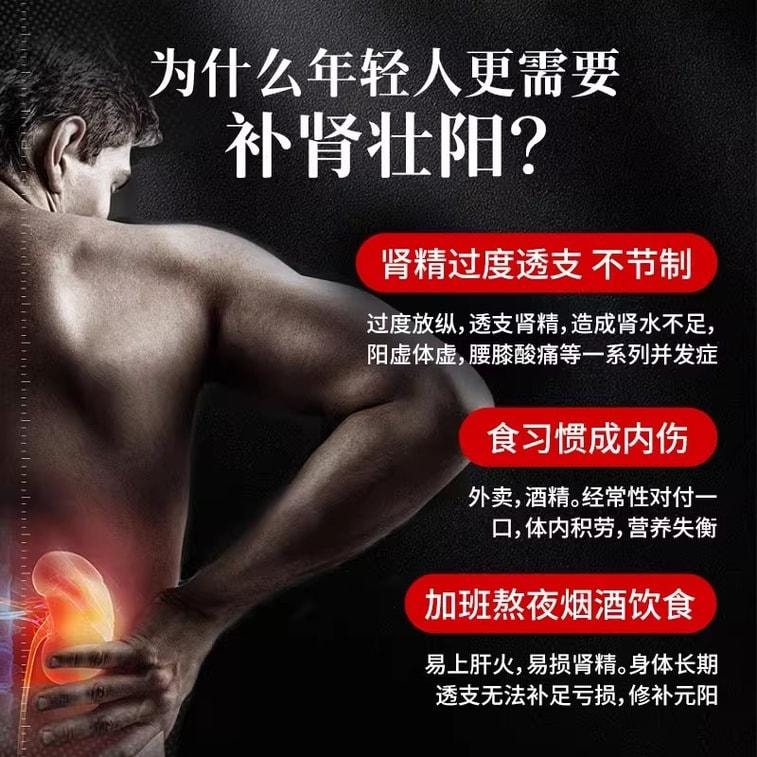 【中国直邮】 敖东 壮肾丸9g*10丸/盒补肾壮阳益气养血