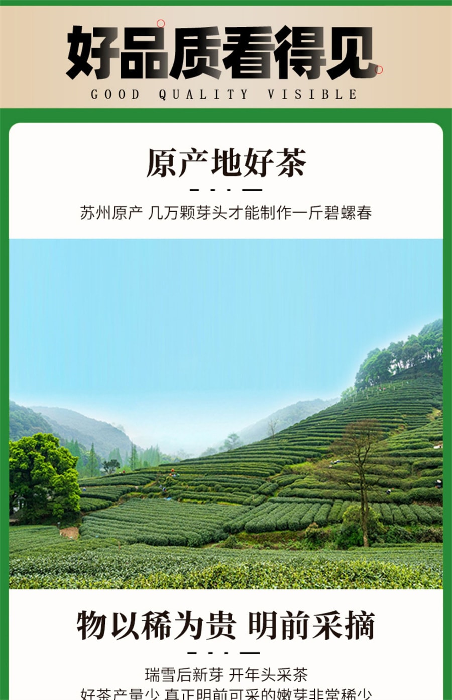 【中国直邮】一杯香   2023新茶碧螺春一杯香明前绿茶茶叶春茶  250g/袋