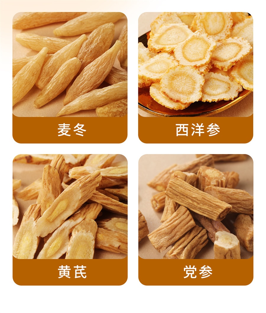 【中國直郵】 福東海 元氣四寶組合 藥材西洋參黃耆黨參麥冬組合100g/盒