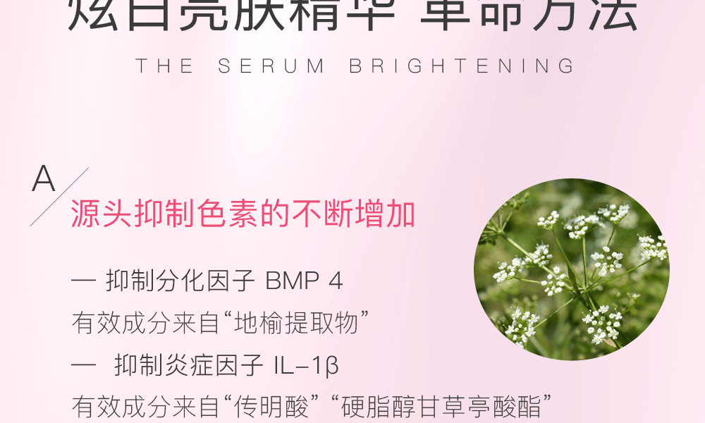 ASTALIFT 艾诗缇||焕白提亮淡化色斑精华液||40ml