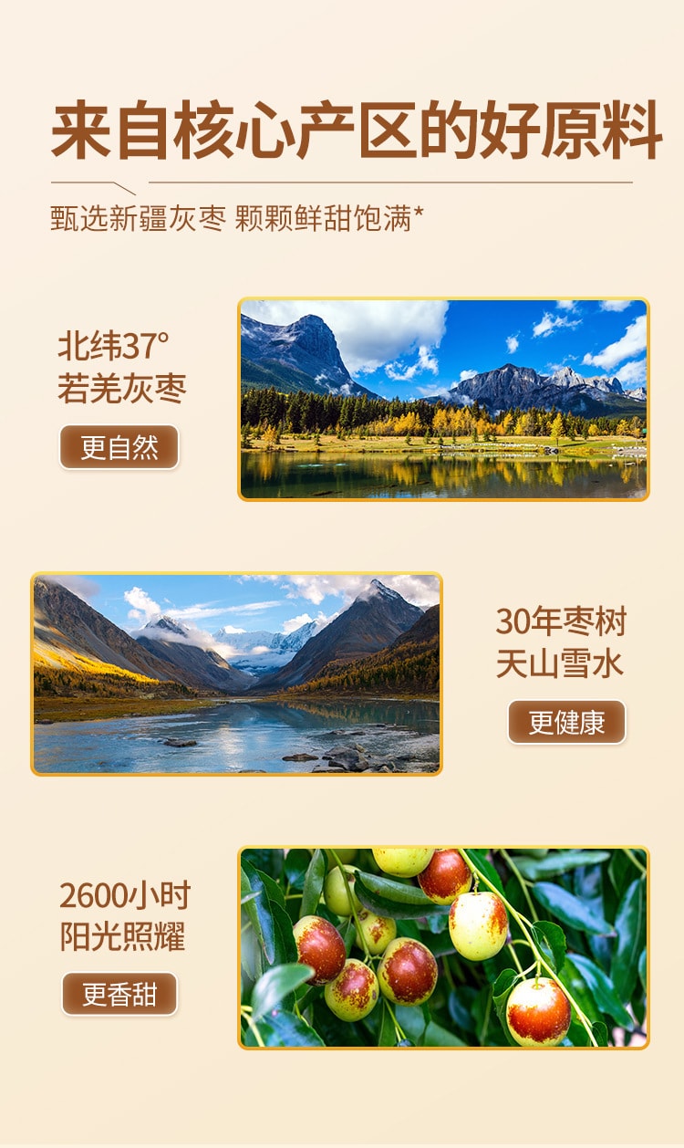 中国 精选新疆灰枣 枣致富 去皮无核枣 160克 自然本味 去皮无渣 绵密软糯 多吃不伤胃