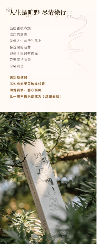  茶颜悦色 过眼云烟线香雪中春信室内持久沉香檀香香薰15g(约50根)
