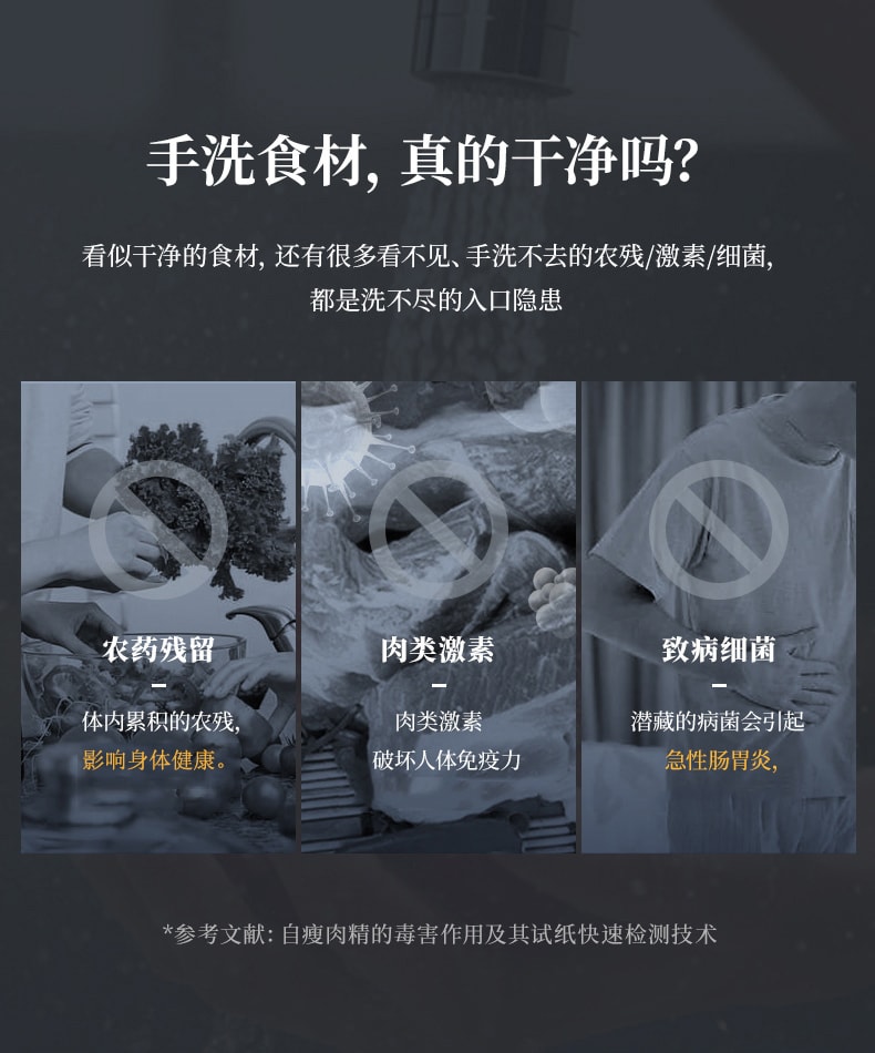 【中国直邮】东菱  分类果蔬净化器食材清洗机便携无线   钛金灰
