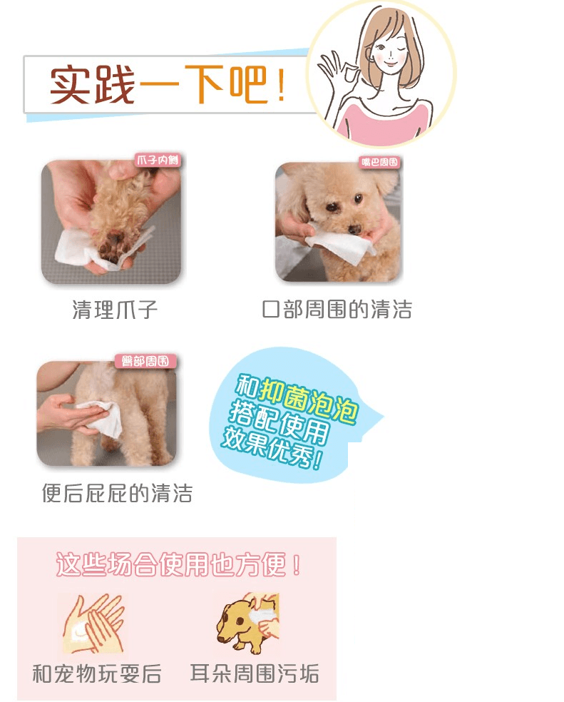 日本 LION 獅王 寵物除菌濕紙巾 狗貓用 80pcs