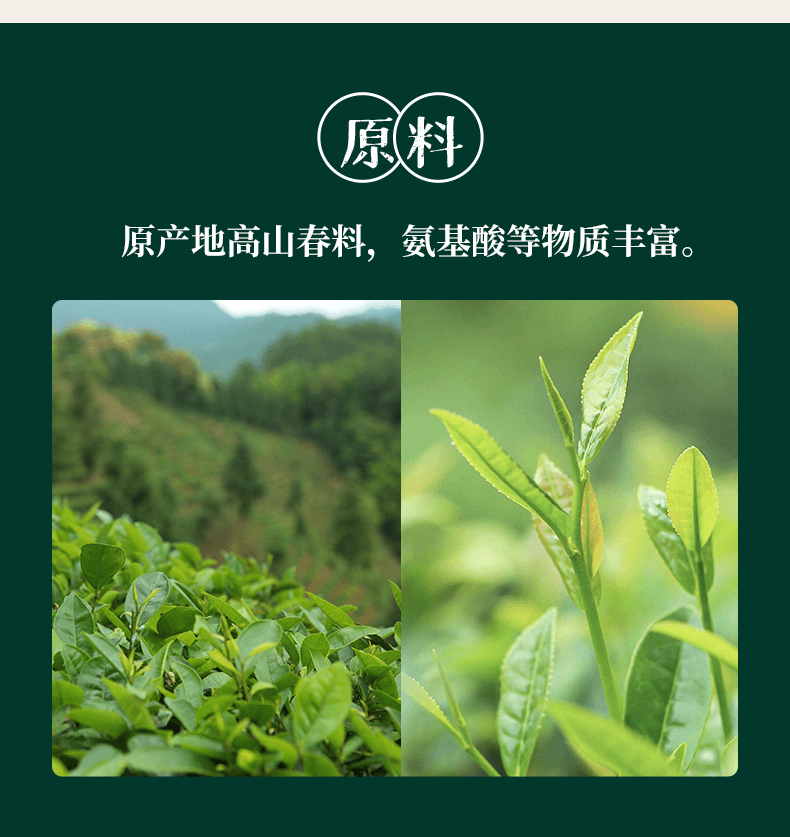  小師姐評茶 【美國現貨秒發】2008金獎桂味六堡茶特級頭採 收藏級乾倉老茶 祛濕排毒養胃降脂 高端品鑑 頂級綿糯紅豆湯感 100g
