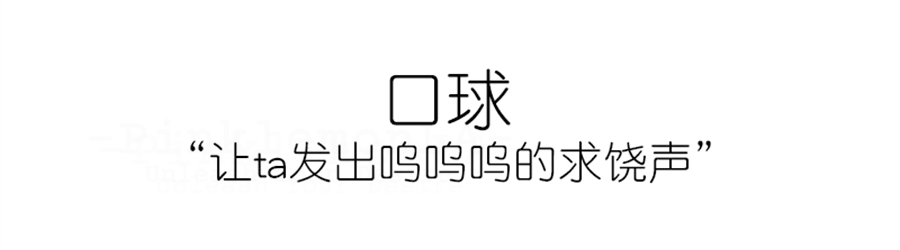 BDSM Iridescent Professional Training Bondage Set with Lead Chain and Paddle