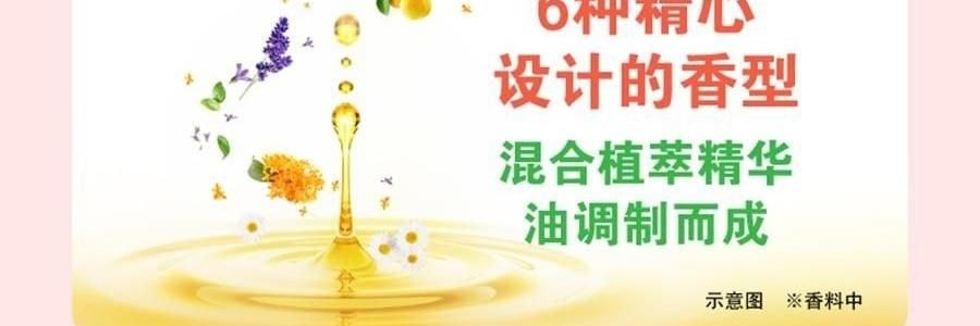 日本KAO花王 美舒律焕活循环 舒缓蒸汽眼罩   助眠透气 热敷护眼贴 缓解疲劳去黑眼圈 #日本扁柏香 12枚入【2025升级版】
