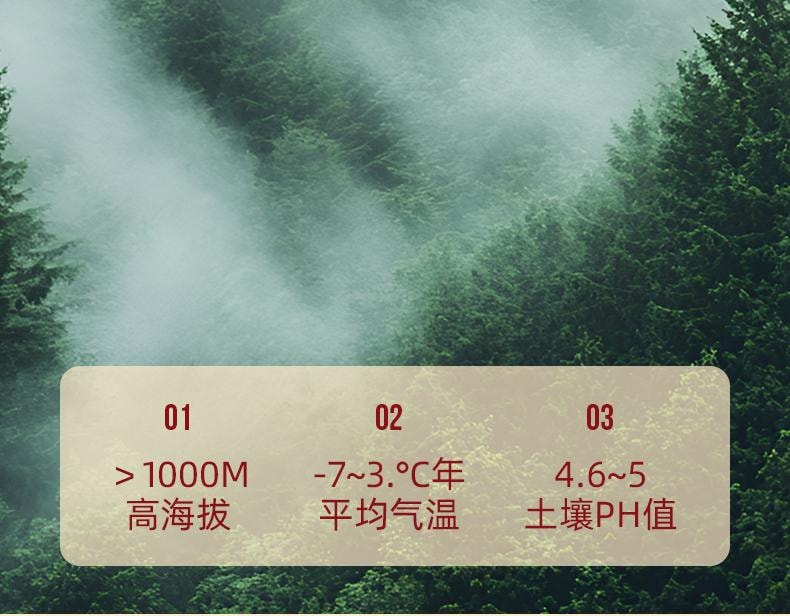 Yu Ling Gao (220g/jar) - Authentic American ginseng longan and dried longan pulp combined with traditional Chinese med