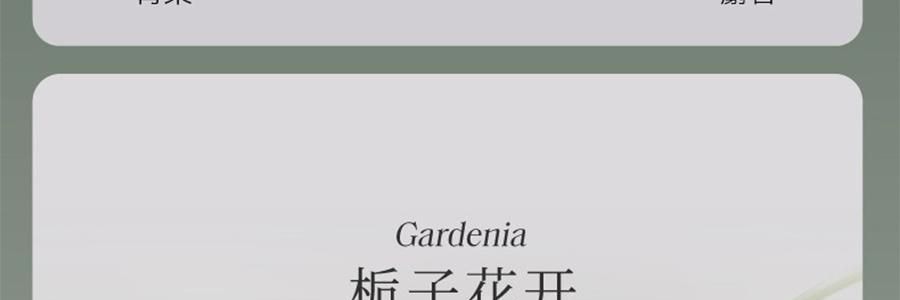 宋朝 冷山系列扩香石套装摆件 高级香氛 送礼好物 容器*1 晶石*1袋 精油*1 花间漫步
