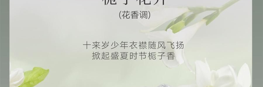 宋朝 冷山系列扩香石套装摆件 高级香氛 送礼好物 容器*1 晶石*1袋 精油*1 花间漫步