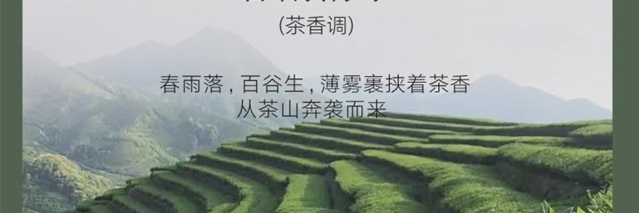 宋朝 冷山系列扩香石套装摆件 高级香氛 送礼好物 容器*1 晶石*1袋 精油*1 花间漫步