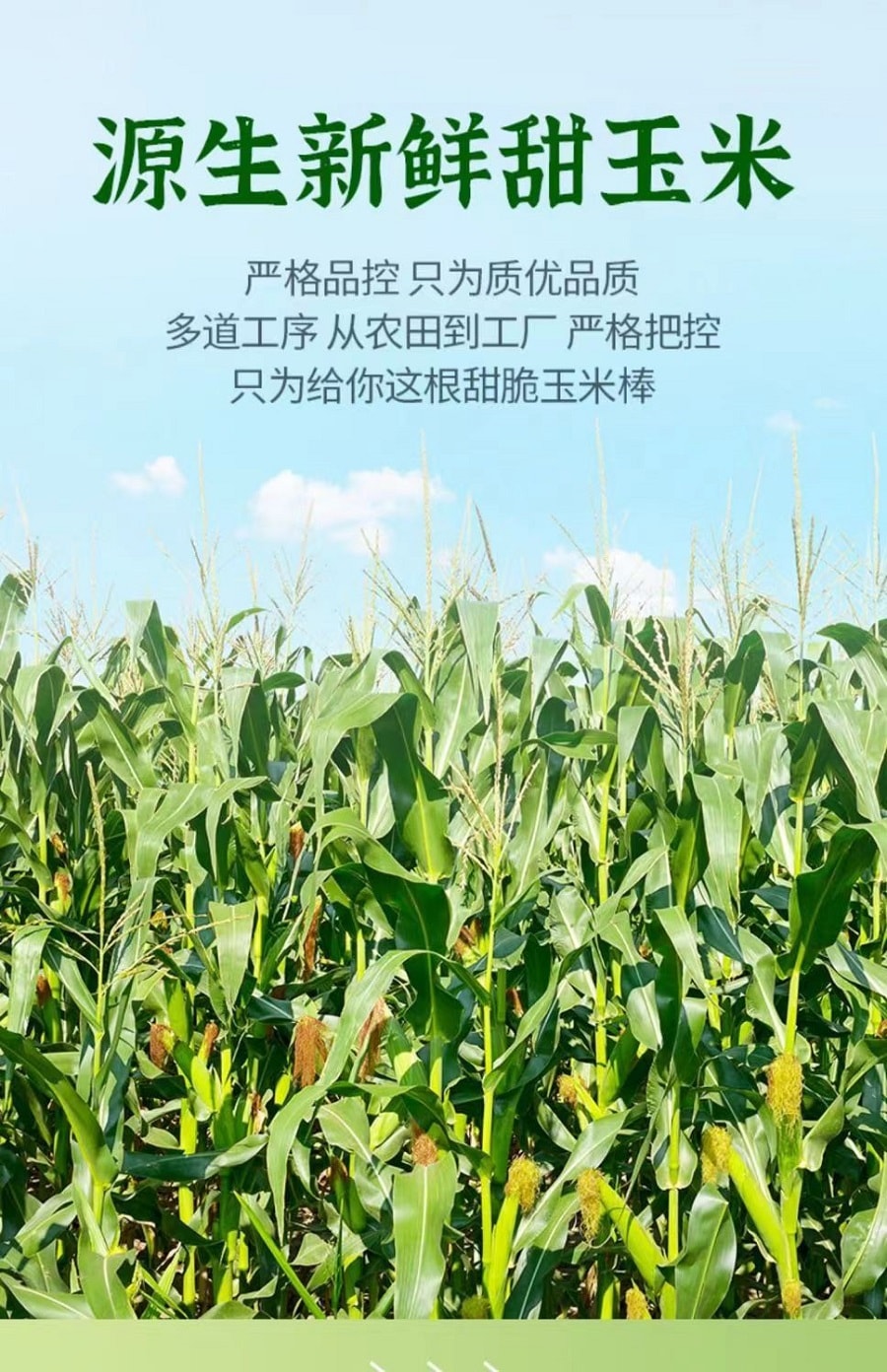 【超值装】云南宏斌甜脆玉米开袋即食减脂速食/500G