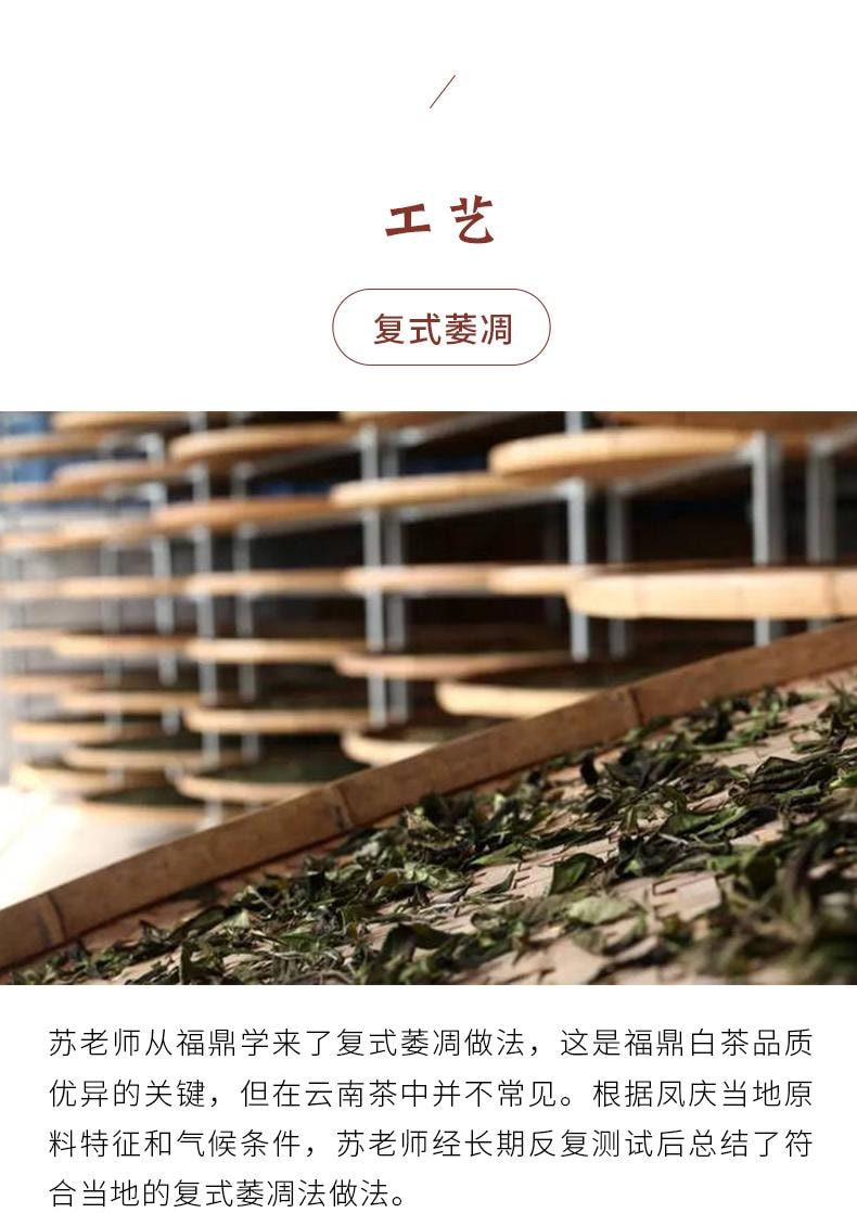 小师姐评茶 野径芳华 云南荒野白茶 2300米超高海拔茶园茶叶 传统工艺 30克