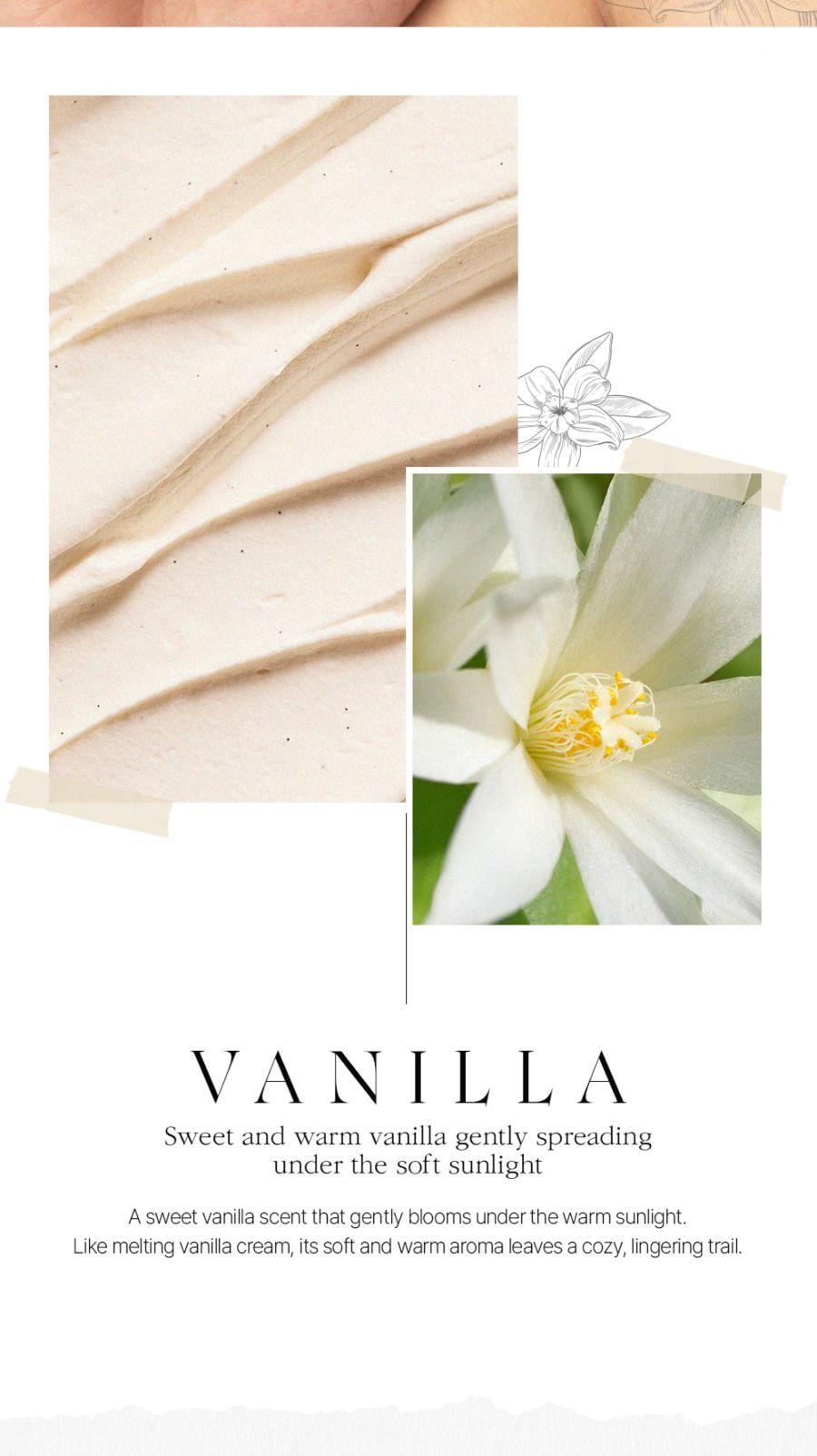 韓國 BOM 香水浮光流瑩女士持久留香純欲香草香氛 噴霧 110ml