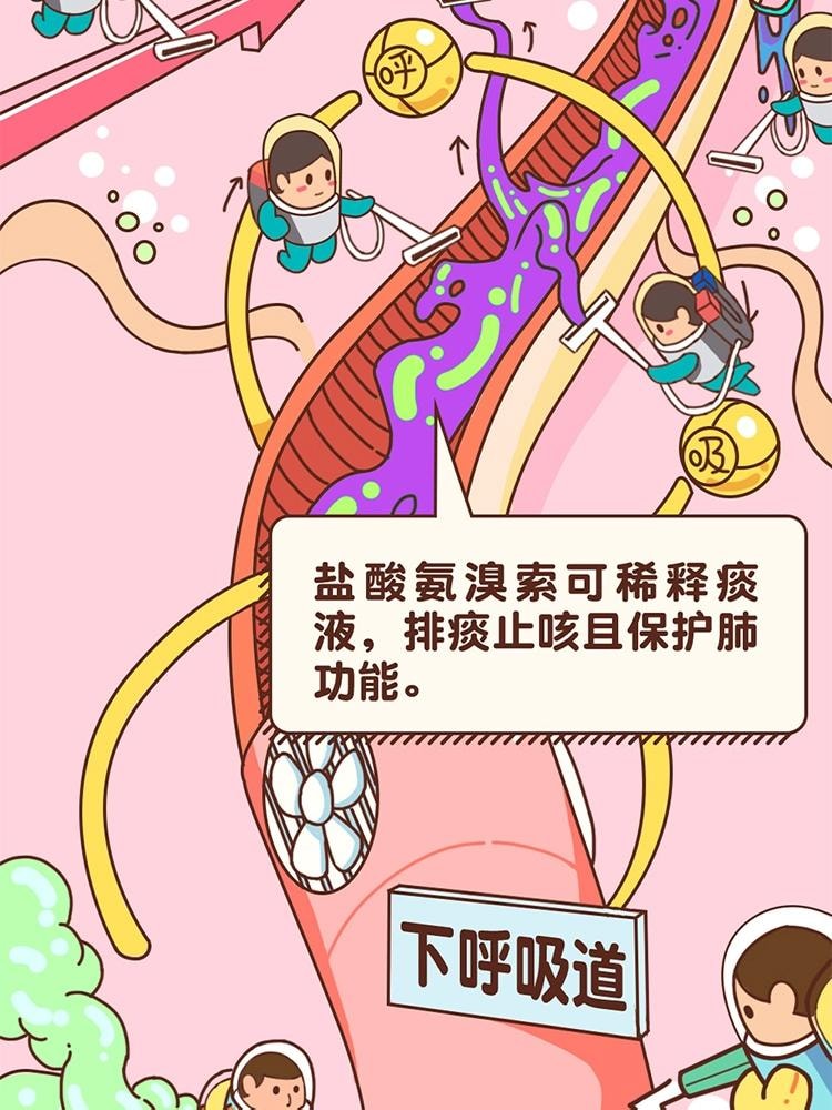 【中国直邮】 999 盐酸氨溴索口服液100ml化痰止咳慢性支气管炎痰稠咳嗽药小儿童