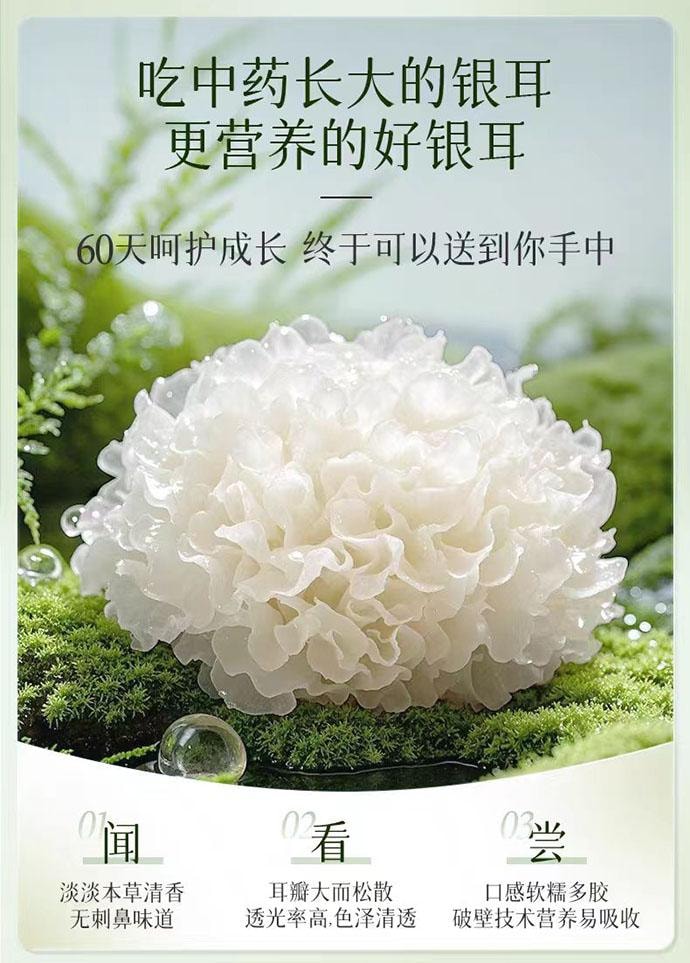 【中国直邮】 金丝耳 有机富硒银耳 60g*1罐套餐
