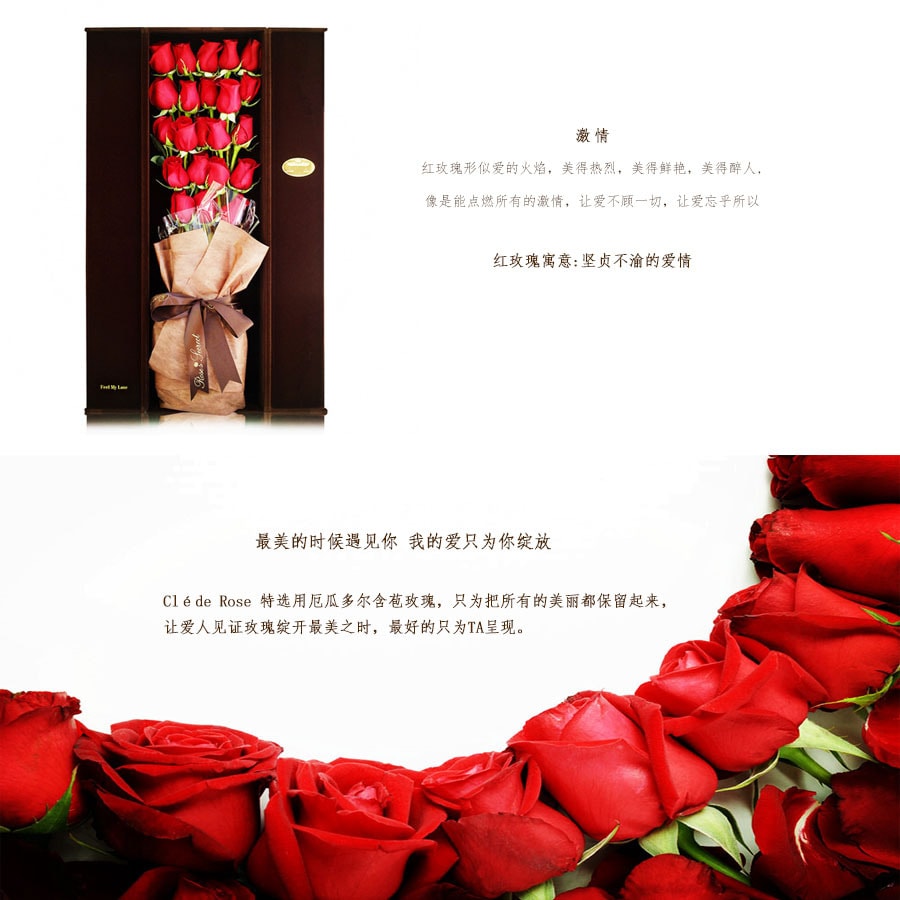 玫瑰之钥 鲜花玫瑰 经典系列—【激情】