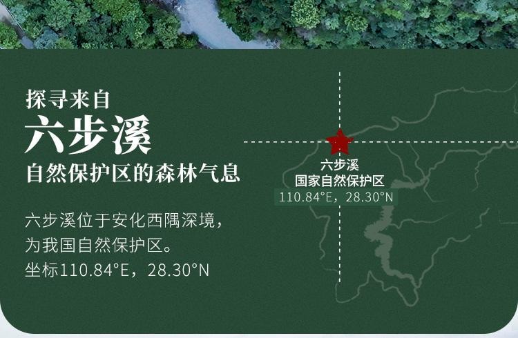 【美國現貨秒發】小師姐評茶 天尖薄片 安化黑茶茶葉 2017年荒野老樹六步玲瓏 60克(10片)