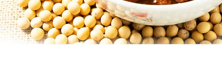 海天 辣黃豆醬 340g