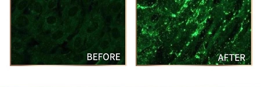 GALENIC科蘭黎 雪藻乳霜 50ml 源頭抗老 淡紋飽滿煥發 【李佳琦同款推薦】