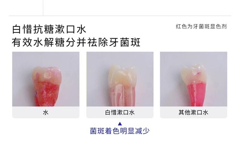 【中国直邮】 白惜 口喷口腔清新喷雾香氛口喷口气清新接吻持久留香便携 白雾山茶口喷15ml