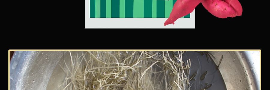 韓國WANG 優質紅薯粉絲 340g【可涼拌炒雜菜涮火鍋】