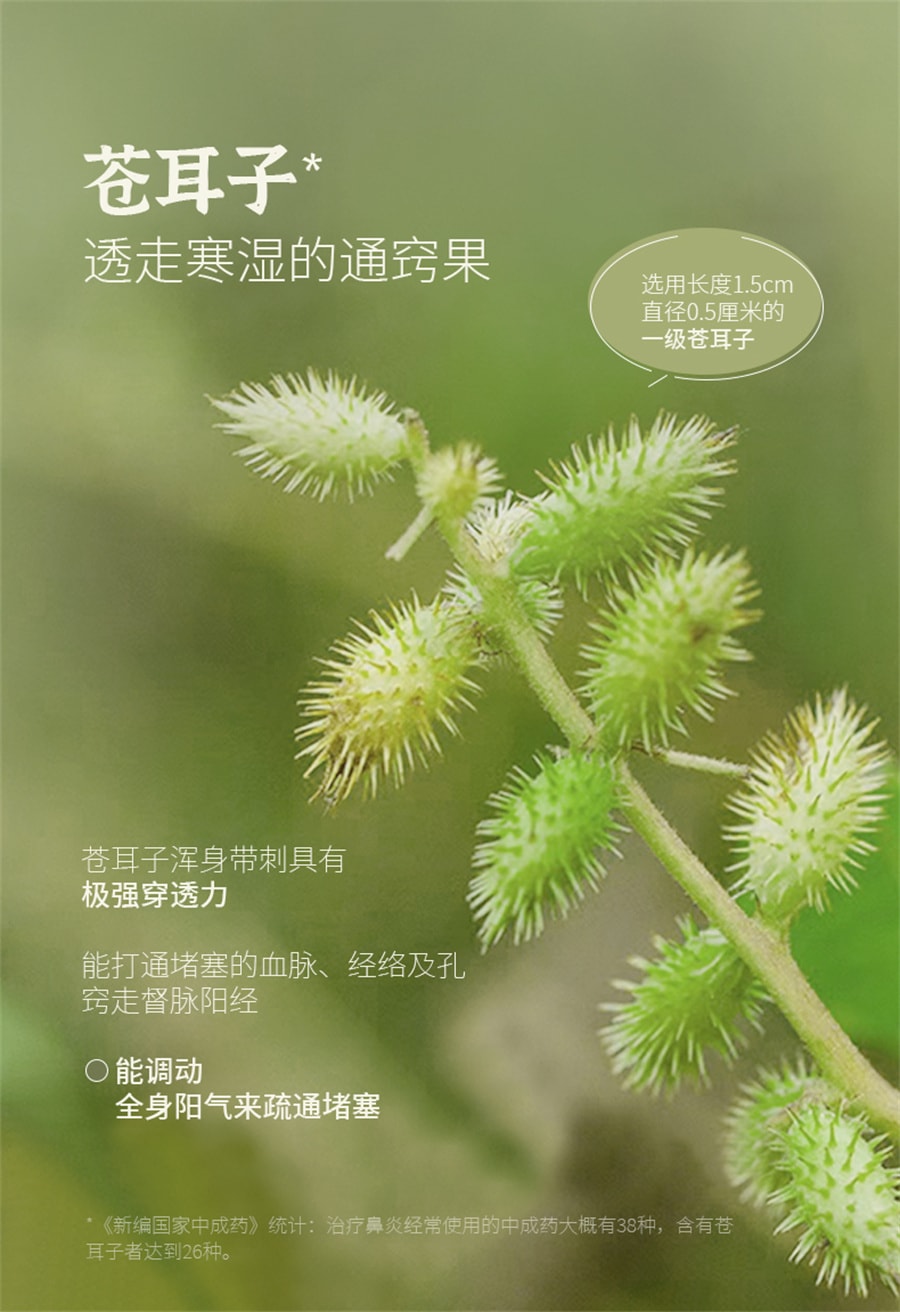 【中国直邮】 小羊森林 苍耳子精油鼻油棉棒疏通入睡儿童一级精油小孩子舒缓型   24支/盒