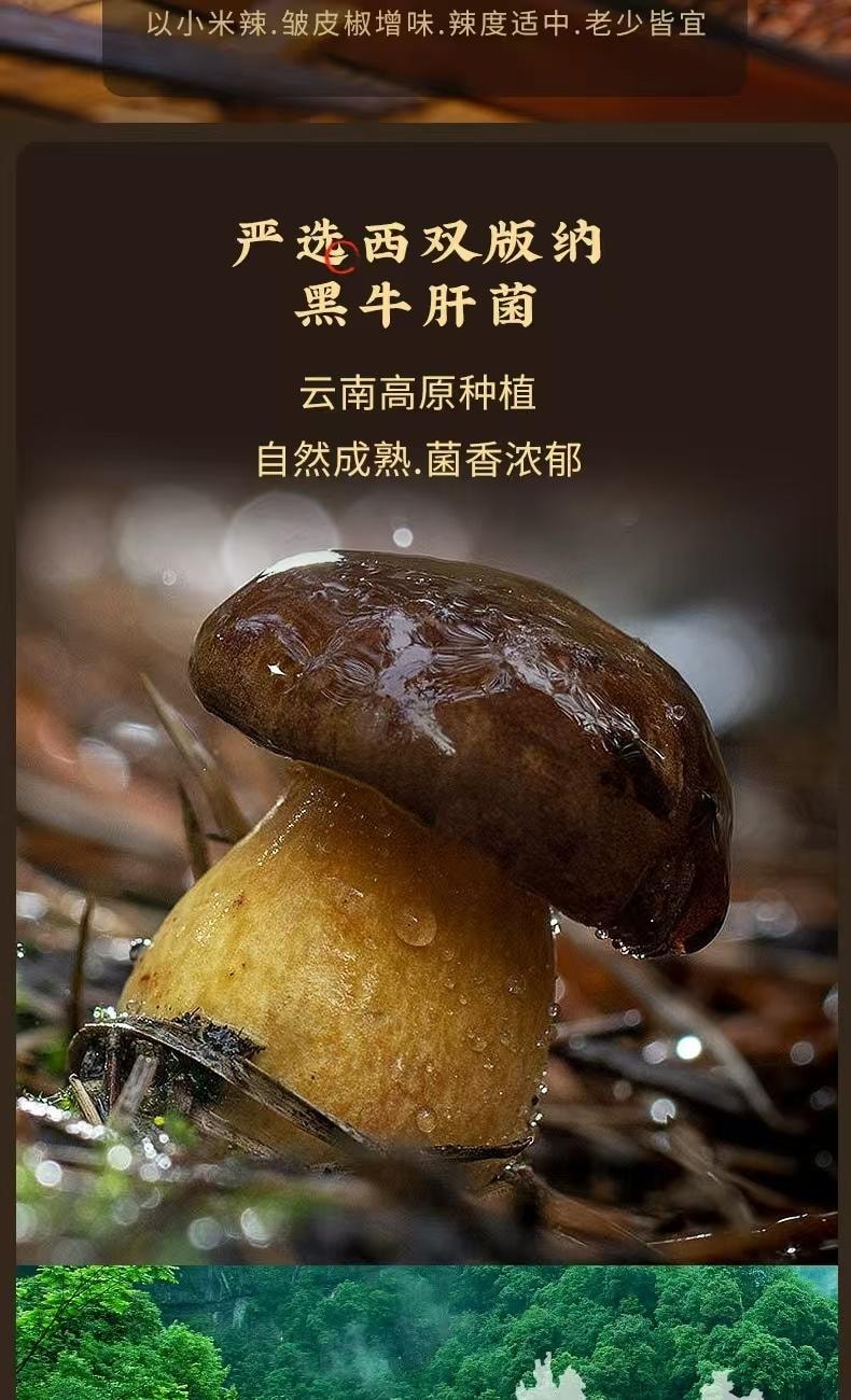 【中國直郵】 德和 傣香油熗牛肝菌 雲南特產 黑牛肝菌即食菌罐頭速食 300g