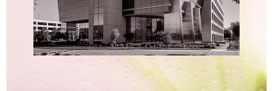 半畝花田 水光煥發香氛沐浴露 純露精華沐浴液 12H持久留香 水潤保濕 300g #心動記號 玫瑰調