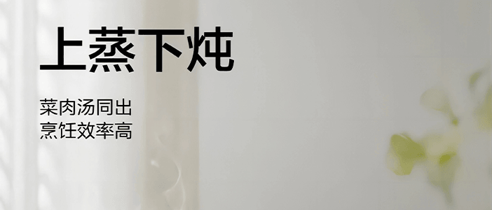 BUYDEEM北鼎 多功能蒸炖锅 隔水蒸炖锅电蒸锅 加大加高不挑餐具 7L G67US