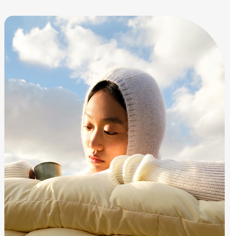 中國拉芙菲爾奶蓋枕睡眠助眠專用護頸椎枕分區慢回彈記憶棉枕頭